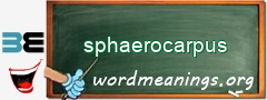 WordMeaning blackboard for sphaerocarpus